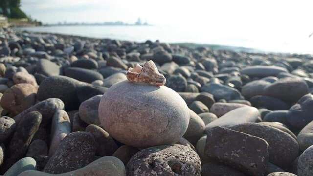 Гостевой дом Elene Батуми-33